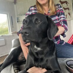 Naturlig Hund Terapi - Klippekort 5 klip