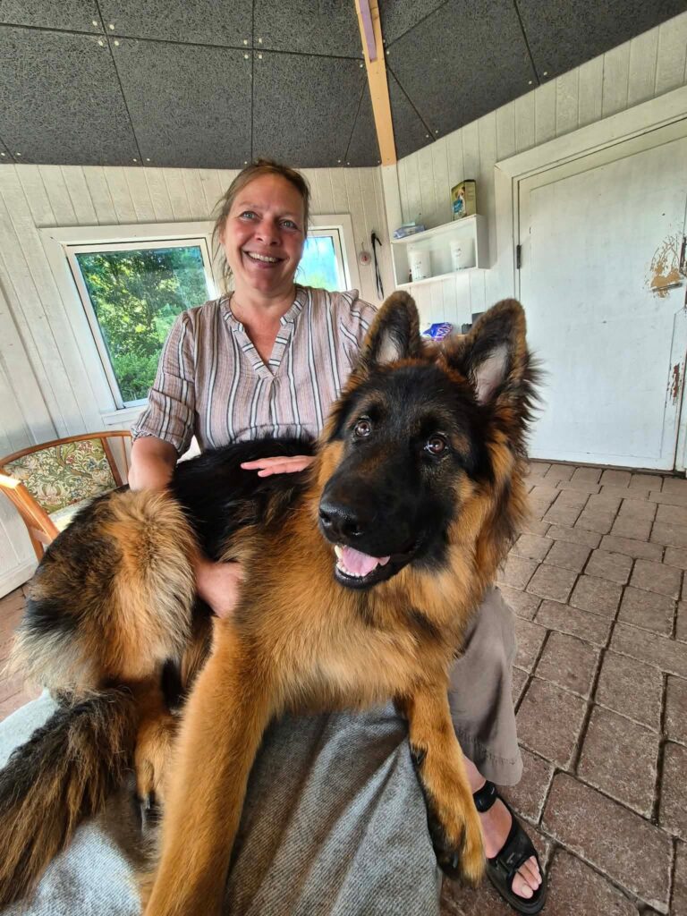Gusto til Naturlig Hund Terapi